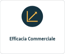 Strategia marketing - Efficacia commerciale