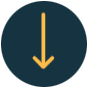 icona lean six sigma project coaching 03