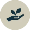 Agile Leadership - Fiducia
