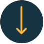 icona lean six sigma project coaching 03